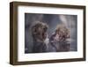 Friends-Takeshi Marumoto-Framed Photographic Print