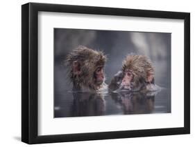 Friends-Takeshi Marumoto-Framed Photographic Print