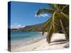 Friendship Bay Beach, Bequia, St. Vincent and the Grenadines, Windward Islands, West Indies-Michael DeFreitas-Stretched Canvas