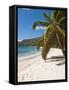 Friendship Bay Beach, Bequia, St. Vincent and the Grenadines, Windward Islands, West Indies-Michael DeFreitas-Framed Stretched Canvas