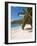 Friendship Bay Beach, Bequia, St. Vincent and the Grenadines, Windward Islands, West Indies-Michael DeFreitas-Framed Photographic Print