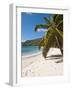 Friendship Bay Beach, Bequia, St. Vincent and the Grenadines, Windward Islands, West Indies-Michael DeFreitas-Framed Photographic Print