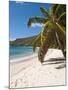 Friendship Bay Beach, Bequia, St. Vincent and the Grenadines, Windward Islands, West Indies-Michael DeFreitas-Mounted Photographic Print