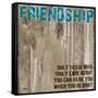 Friendship Grunge PF-Diane Stimson-Framed Stretched Canvas