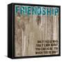 Friendship Grunge PF-Diane Stimson-Framed Stretched Canvas