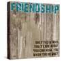 Friendship Grunge PF-Diane Stimson-Stretched Canvas