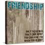 Friendship Grunge PF-Diane Stimson-Stretched Canvas