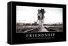 Friendship: Inspirational Quote and Motivational Poster-null-Framed Stretched Canvas