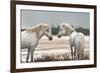 Friendship-Jorge Llovet-Framed Art Print