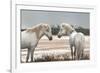 Friendship-Jorge Llovet-Framed Art Print