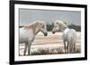 Friendship-Jorge Llovet-Framed Art Print