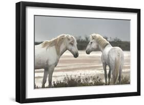 Friendship-Jorge Llovet-Framed Giclee Print