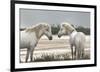 Friendship-Jorge Llovet-Framed Giclee Print