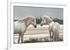 Friendship-Jorge Llovet-Framed Giclee Print