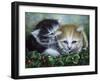 Friendship-Jenny Newland-Framed Giclee Print