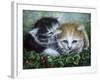 Friendship-Jenny Newland-Framed Giclee Print