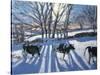 Friesian Cows, 2009-Andrew Macara-Stretched Canvas