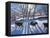 Friesian Cows, 2009-Andrew Macara-Framed Stretched Canvas