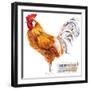 Friesian Rooster. Poultry Farming. Chicken Breeds Series. Domestic Farm Bird Watercolor Illustratio-Faenkova Elena-Framed Art Print