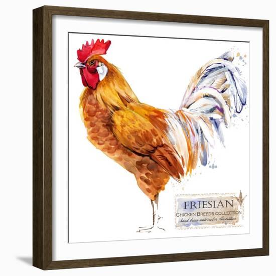 Friesian Rooster. Poultry Farming. Chicken Breeds Series. Domestic Farm Bird Watercolor Illustratio-Faenkova Elena-Framed Premium Giclee Print