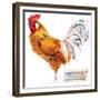 Friesian Rooster. Poultry Farming. Chicken Breeds Series. Domestic Farm Bird Watercolor Illustratio-Faenkova Elena-Framed Premium Giclee Print