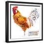 Friesian Rooster. Poultry Farming. Chicken Breeds Series. Domestic Farm Bird Watercolor Illustratio-Faenkova Elena-Framed Premium Giclee Print