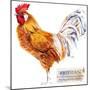 Friesian Rooster. Poultry Farming. Chicken Breeds Series. Domestic Farm Bird Watercolor Illustratio-Faenkova Elena-Mounted Premium Giclee Print