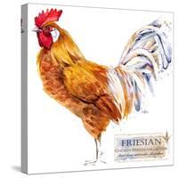 Friesian Rooster. Poultry Farming. Chicken Breeds Series. Domestic Farm Bird Watercolor Illustratio-Faenkova Elena-Stretched Canvas
