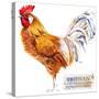 Friesian Rooster. Poultry Farming. Chicken Breeds Series. Domestic Farm Bird Watercolor Illustratio-Faenkova Elena-Stretched Canvas