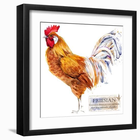 Friesian Rooster. Poultry Farming. Chicken Breeds Series. Domestic Farm Bird Watercolor Illustratio-Faenkova Elena-Framed Art Print