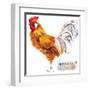 Friesian Rooster. Poultry Farming. Chicken Breeds Series. Domestic Farm Bird Watercolor Illustratio-Faenkova Elena-Framed Art Print