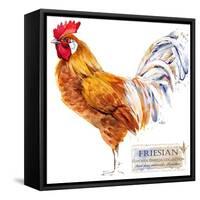 Friesian Rooster. Poultry Farming. Chicken Breeds Series. Domestic Farm Bird Watercolor Illustratio-Faenkova Elena-Framed Stretched Canvas