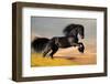 Friesian Stallion Gallop in Sunset-Alexia Khruscheva-Framed Photographic Print