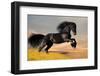 Friesian Stallion Gallop in Sunset-Alexia Khruscheva-Framed Photographic Print