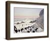 Friesians in Winter-Maggie Rowe-Framed Giclee Print