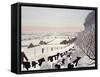 Friesians in Winter-Maggie Rowe-Framed Stretched Canvas