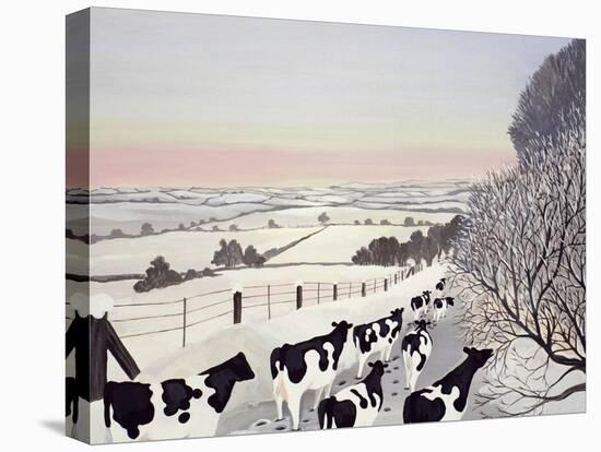 Friesians in Winter-Maggie Rowe-Stretched Canvas