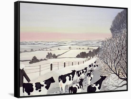 Friesians in Winter-Maggie Rowe-Framed Stretched Canvas