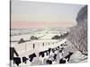 Friesians in Winter-Maggie Rowe-Stretched Canvas