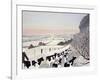 Friesians in Winter-Maggie Rowe-Framed Giclee Print