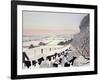 Friesians in Winter-Maggie Rowe-Framed Giclee Print