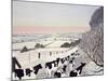 Friesians in Winter-Maggie Rowe-Mounted Giclee Print