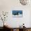 Friesians Sea-Bob Langrish-Photographic Print displayed on a wall