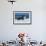 Friesians Sea-Bob Langrish-Framed Photographic Print displayed on a wall