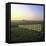 Friesland, Fence in a Field Near Workum-Marcel Malherbe-Framed Stretched Canvas