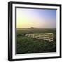 Friesland, Fence in a Field Near Workum-Marcel Malherbe-Framed Photographic Print