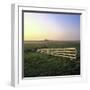 Friesland, Fence in a Field Near Workum-Marcel Malherbe-Framed Photographic Print