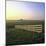 Friesland, Fence in a Field Near Workum-Marcel Malherbe-Mounted Photographic Print