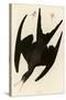 Frigate Pelican-John James Audubon-Stretched Canvas