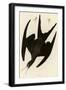 Frigate Pelican-John James Audubon-Framed Giclee Print